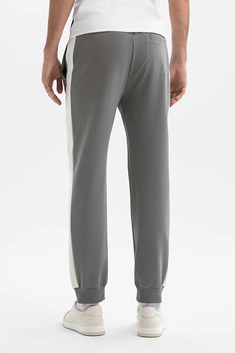 Брюки спортивные, цвет Серый